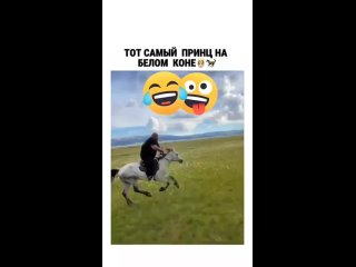 video by vide funny - funny videos