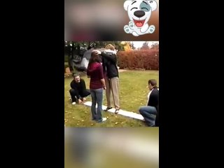 video by vide funny - funny videos